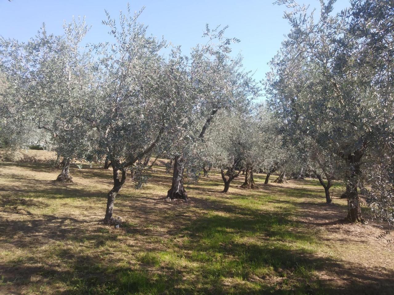 Ai Bastiani Villa Capannori Luaran gambar